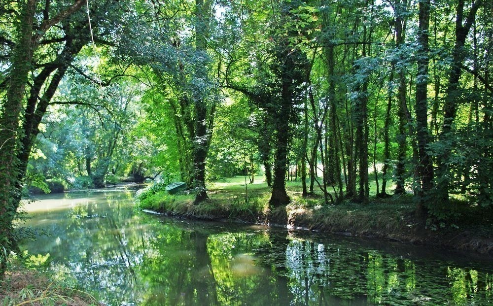 Parc du Domaine de Pladuc - 2