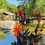 gite - Chalet au bord de la Rivière - MANSLE LES FONTAINES - Charente