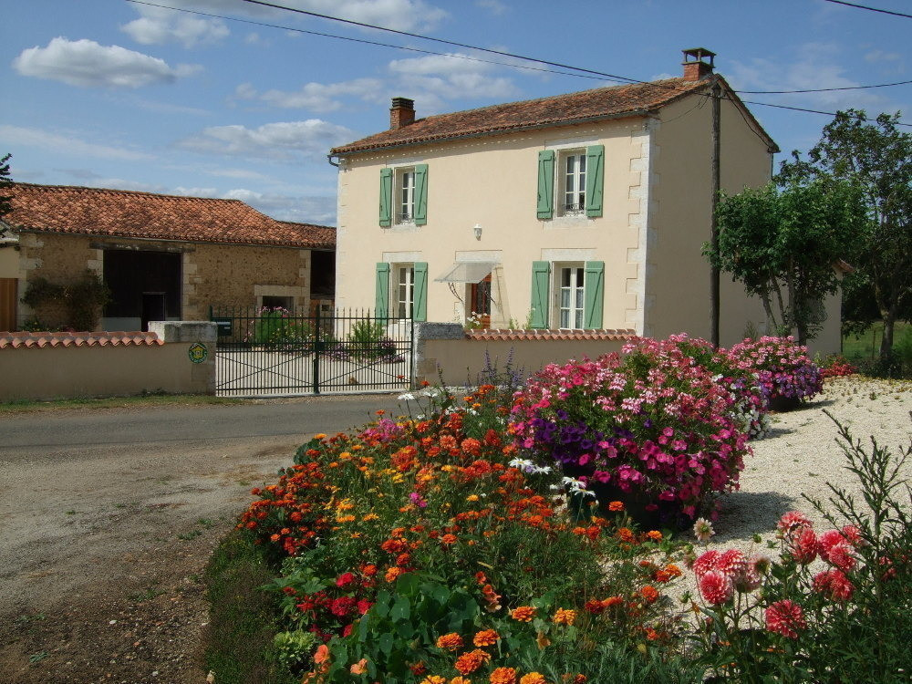photo 0