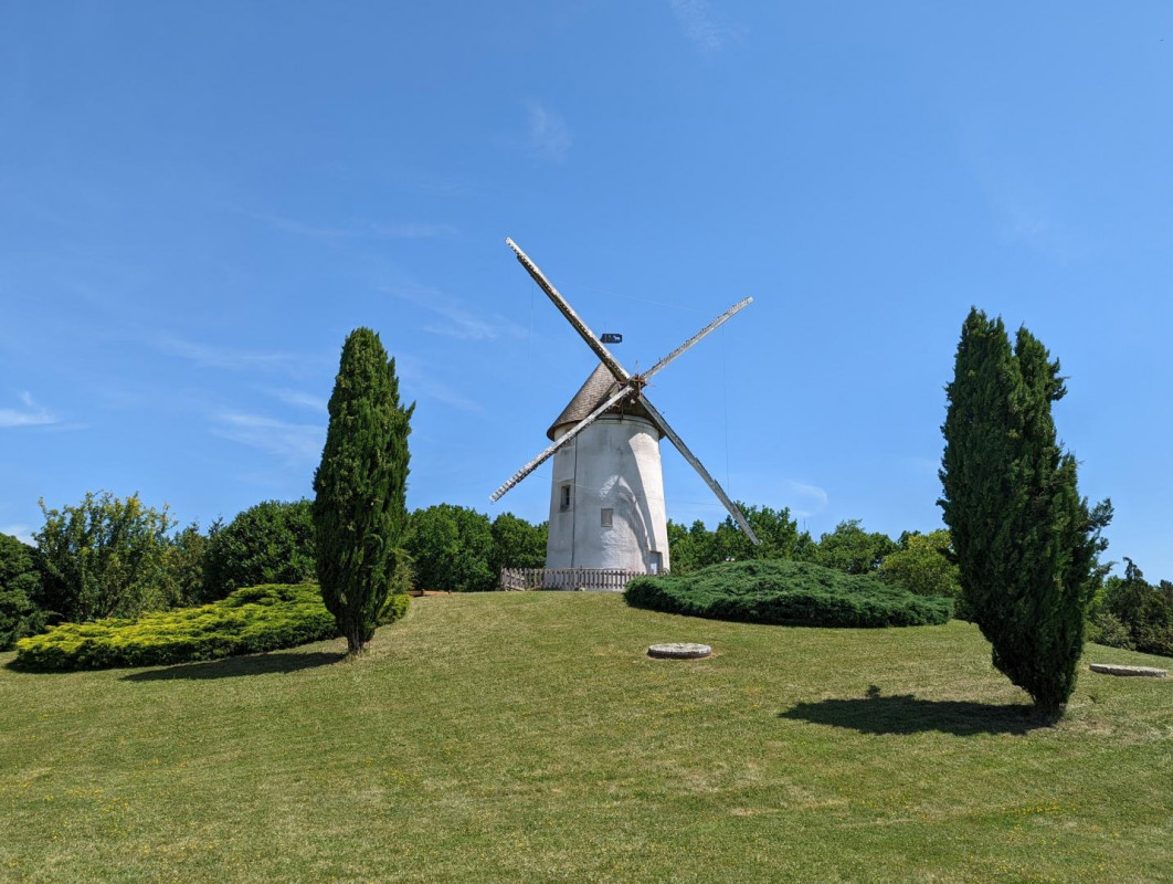 photo 44