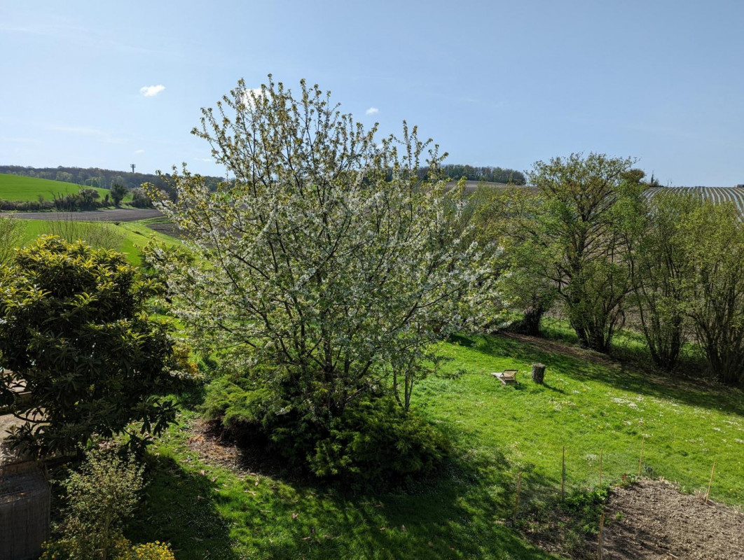 photo 34