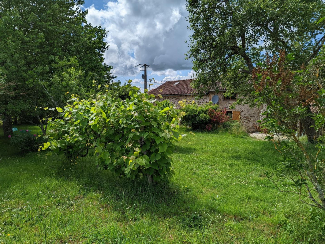 photo 34