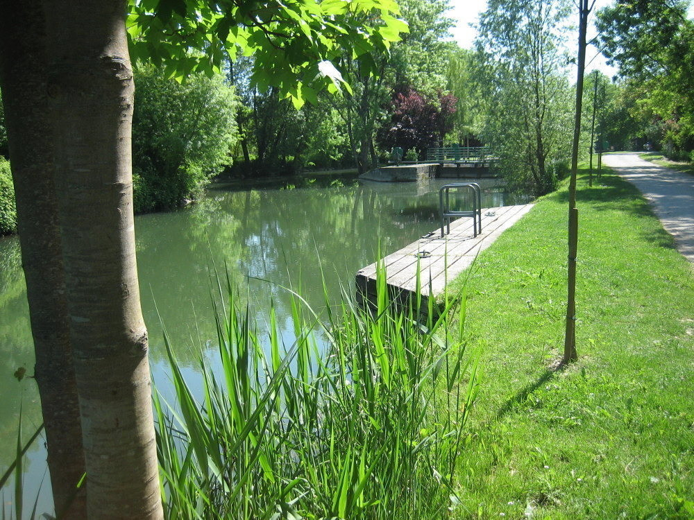 photo 39